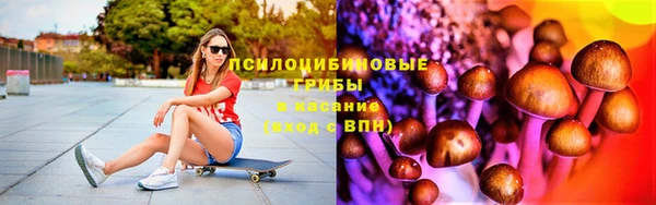 метадон Аркадак