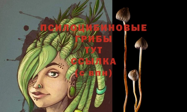 марки nbome Арсеньев