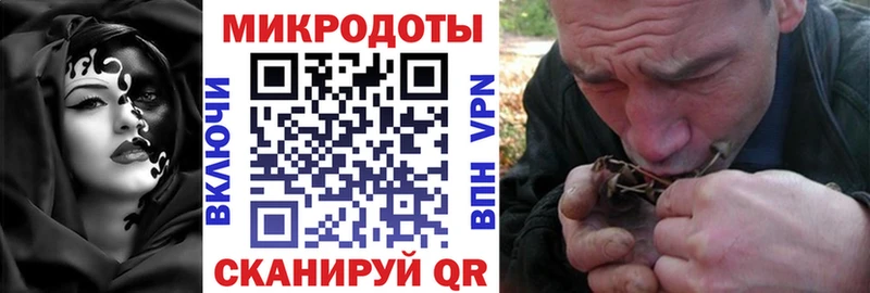 Псилоцибиновые грибы ЛСД Лодейное Поле